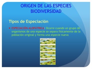 ORIGEN DE LAS ESPECIES
BIODIVERSIDAD
Tipos de Especiación
 ESPECIACIÓN ALOPÁTRICA: Ocurre cuando un grupo de
organismos de una especie se separa físicamente de la
población original y forma una especie nueva
 