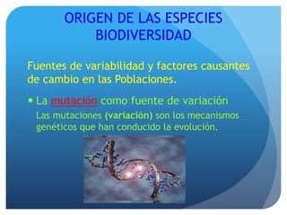 ORIGEN DE LAS ESPECIES
BIODIVERSIDAD
Fuentes de variabilidad y factores causantes
de cambio en las Poblaciones.
 La mutación como fuente de variación
Las mutaciones (variación) son los mecanismos
genéticos que han conducido la evolución.
 