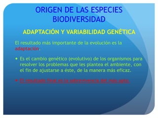 ORIGEN DE LAS ESPECIES
BIODIVERSIDAD
ADAPTACIÓN Y VARIABILIDAD GENÉTICA
El resultado más importante de la evolución es la
adaptación.
 Es el cambio genético (evolutivo) de los organismos para
resolver los problemas que les plantea el ambiente, con
el fin de ajustarse a éste, de la manera más eficaz.
 El resultado final es la sobrevivencia del más apto.
 