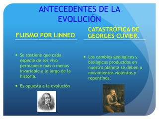 ANTECEDENTES DE LA
EVOLUCIÓN
FIJISMO POR LINNEO
 Se sostiene que cada
especie de ser vivo
permanece más o menos
invariable a lo largo de la
historia.
 Es opuesta a la evolución
CATASTRÓFICA DE
GEORGES CUVIER.
 Los cambios geológicos y
biológicos producidos en
nuestro planeta se deben a
movimientos violentos y
repentinos.
 