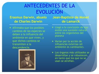 ANTECEDENTES DE LA
EVOLUCIÓN
Erasmus Darwin, abuelo
de Charles Darwin
 Afirmaba que los posibles
cambios de las especies se
deben a la influencia del
ambiente en que viven, y
que dichos cambios se
transmiten a la
descendencia.
Jean-Baptiste de Monet
de Lamarck
 Llegó a la conclusión de que
existe una sucesión natural
entre los organismos del
planeta
 Varían por la acción de
influencias externas (el
ambiente es cambiante).
 Los órganos más utilizados se
desarrollan y se robustecen,
en tanto que los que no se
usan se atrofian.
 