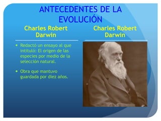 ANTECEDENTES DE LA
EVOLUCIÓN
Charles Robert
Darwin
 Redactó un ensayo al que
intituló: El origen de las
especies por medio de la
selección natural.
 Obra que mantuvo
guardada por diez años.
Charles Robert
Darwin
 