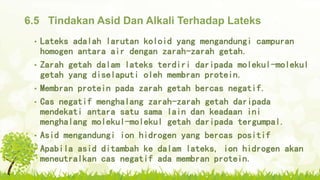 6.5 Tindakan Asid Dan Alkali Terhadap Lateks
• Lateks adalah larutan koloid yang mengandungi campuran
homogen antara air dengan zarah-zarah getah.
• Zarah getah dalam lateks terdiri daripada molekul-molekul
getah yang diselaputi oleh membran protein.
• Membran protein pada zarah getah bercas negatif.
• Cas negatif menghalang zarah-zarah getah daripada
mendekati antara satu sama lain dan keadaan ini
menghalang molekul-molekul getah daripada tergumpal.
• Asid mengandungi ion hidrogen yang bercas positif
• Apabila asid ditambah ke dalam lateks, ion hidrogen akan
meneutralkan cas negatif ada membran protein.
 