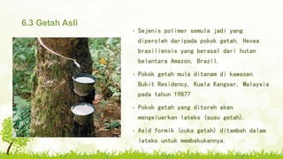 6.3 Getah Asli
• Sejenis polimer semula jadi yang
diperoleh daripada pokok getah, Hevea
brasiliensis yang berasal dari hutan
belantara Amazon, Brazil.
• Pokok getah mula ditanam di kawasan
Bukit Residency, Kuala Kangsar, Malaysia
pada tahun 19877
• Pokok getah yang ditoreh akan
mengeluarkan lateks (susu getah).
• Asid formik (cuka getah) ditambah dalam
lateks untuk membekukannya.
 