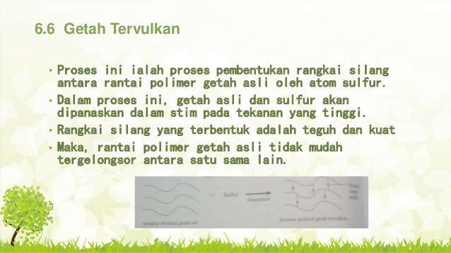 6 Polimer Semula Jadi
