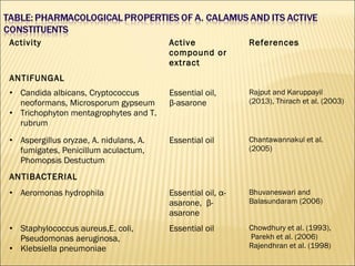 Activity Active
compound or
extract
References
ANTIFUNGAL
• Candida albicans, Cryptococcus
neoformans, Microsporum gypseum
• Trichophyton mentagrophytes and T.
rubrum
Essential oil,
β-asarone
Rajput and Karuppayil
(2013), Thirach et al. (2003)
• Aspergillus oryzae, A. nidulans, A.
fumigates, Penicillum aculactum,
Phomopsis Destuctum
Essential oil Chantawannakul et al.
(2005)
ANTIBACTERIAL
• Aeromonas hydrophila Essential oil, α-
asarone, β-
asarone
Bhuvaneswari and
Balasundaram (2006)
• Staphylococcus aureus,E. coli,
Pseudomonas aeruginosa,
• Klebsiella pneumoniae
Essential oil Chowdhury et al. (1993),
Parekh et al. (2006)
Rajendhran et al. (1998)
 