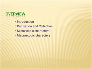  Introduction
 Cultivation and Collection
 Microscopic characters
 Macroscopic characters
 