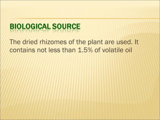The dried rhizomes of the plant are used. It
contains not less than 1.5% of volatile oil
 