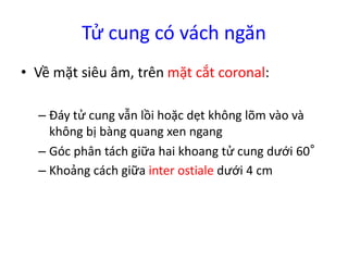 Tử cung có vách ngăn
• Về mặt siêu âm, trên mặt cắt coronal:
– Đáy tử cung vẫn lồi hoặc dẹt không lõm vào và
không bị bàng quang xen ngang
– Góc phân tách giữa hai khoang tử cung dưới 60°
– Khoảng cách giữa inter ostiale dưới 4 cm
 