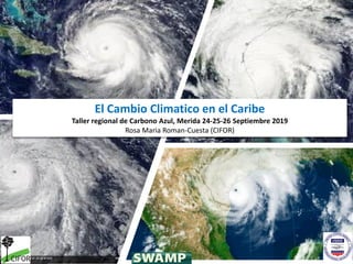 El Cambio Climatico en el Caribe
Taller regional de Carbono Azul, Merida 24-25-26 Septiembre 2019
Rosa Maria Roman-Cuesta ...
