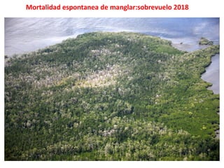 El Cambio Climatico en el Caribe 