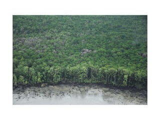El Cambio Climatico en el Caribe 