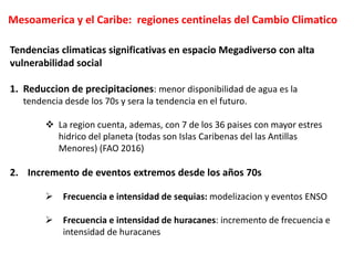 Mesoamerica y el Caribe: regiones centinelas del Cambio Climatico
Tendencias climaticas significativas en espacio Megadive...