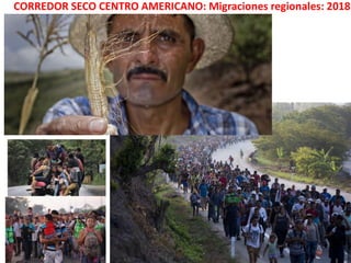 El Cambio Climatico en el Caribe 