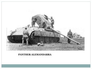 PANTHER ALEMANDARRA
 