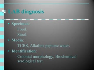 LAB diagnosis
• Specimen:
Food.
Stool.
• Media:
TCBS, Alkaline peptone water.
• Identification:
Colonial morphology, Biochemical
serological test.
 