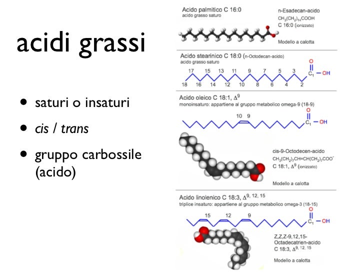 Differenze Acidi Grassi Saturi E Insaturi 6.1 composizione degli alimenti (s6ita - bi2ita)
