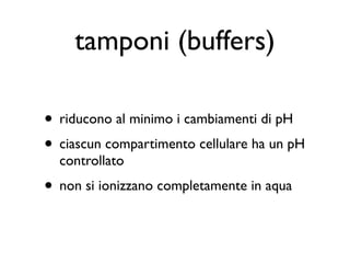 tamponi (buffers)

• riducono al minimo i cambiamenti di pH
• ciascun compartimento cellulare ha un pH
  controllato
• non si ionizzano completamente in aqua
 