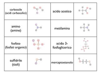 carbossile
(acidi carbossilici)
                        acido acetico



      amino
                         metilamina
     (amine)


     fosfato              acido 3-
(fosfati organici)     fosfoglicerico


    sulﬁdrile
                       mercaptoetanolo
     (tioli)
 