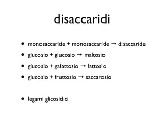 disaccaridi
•   monosaccaride + monosaccaride → disaccaride

•   glucosio + glucosio → maltosio

•   glucosio + galattosio → lattosio

•   glucosio + fruttosio → saccarosio


•   legami glicosidici
 