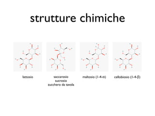 strutture chimiche



lattosio       saccarosio       maltosio (1-4-α)   cellobiosio (1-4-β)
                sucrosio
           zucchero da tavola
 