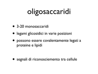 oligosaccaridi
• 3-20 monosaccaridi
• legami glicosidici in varie posizioni
• possono essere covalentamente legati a
  proteine e lipidi


• segnali di riconosciemento tra cellule
 