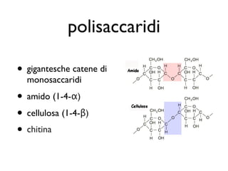 polisaccaridi

• gigantesche catene di
  monosaccaridi

• amido (1-4-α)
• cellulosa (1-4-β)
• chitina
 