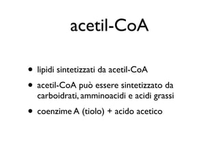 acetil-CoA

• lipidi sintetizzati da acetil-CoA
• acetil-CoA può essere sintetizzato da
  carboidrati, amminoacidi e acidi grassi
• coenzime A (tiolo) + acido acetico
 