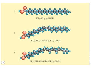 6.1 composizione della cellula (s6ita - bi4ita)