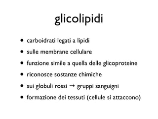 glicolipidi
• carboidrati legati a lipidi
• sulle membrane cellulare
• funzione simile a quella delle glicoproteine
• riconosce sostanze chimiche
• sui globuli rossi → gruppi sanguigni
• formazione dei tessuti (cellule si attaccono)
 