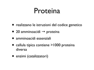 Proteina
• realizzano le istruzioni del codice genetico
• 20 amminoacidi → proteina
• amminoacidi essenziali
• cellula tipica contiene >1000 proteina
  diversa
• enzimi (catalizzatori)
 
