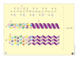 6.1 composizione della cellula (s6ita - bi4ita)