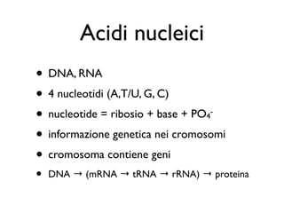 Acidi nucleici
• DNA, RNA
• 4 nucleotidi (A,T/U, G, C)
• nucleotide = ribosio + base + PO
                                 4
                                  -


• informazione genetica nei cromosomi
• cromosoma contiene geni
•   DNA → (mRNA → tRNA → rRNA) → proteina
 