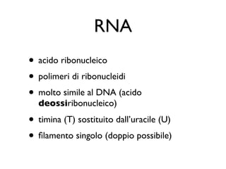 RNA
• acido ribonucleico
• polimeri di ribonucleidi
• molto simile al DNA (acido
  deossiribonucleico)

• timina (T) sostituito dall’uracile (U)
• ﬁlamento singolo (doppio possibile)
 