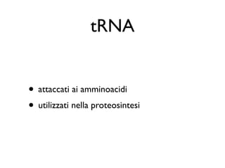 tRNA


• attaccati ai amminoacidi
• utilizzati nella proteosintesi
 