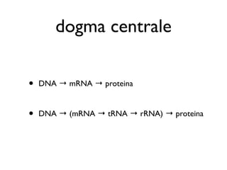 dogma centrale


•   DNA → mRNA → proteina


•   DNA → (mRNA → tRNA → rRNA) → proteina
 