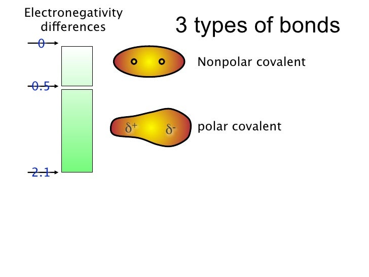 6.1 covalent bonding