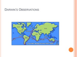 6.1 darwin's theory | PPTX