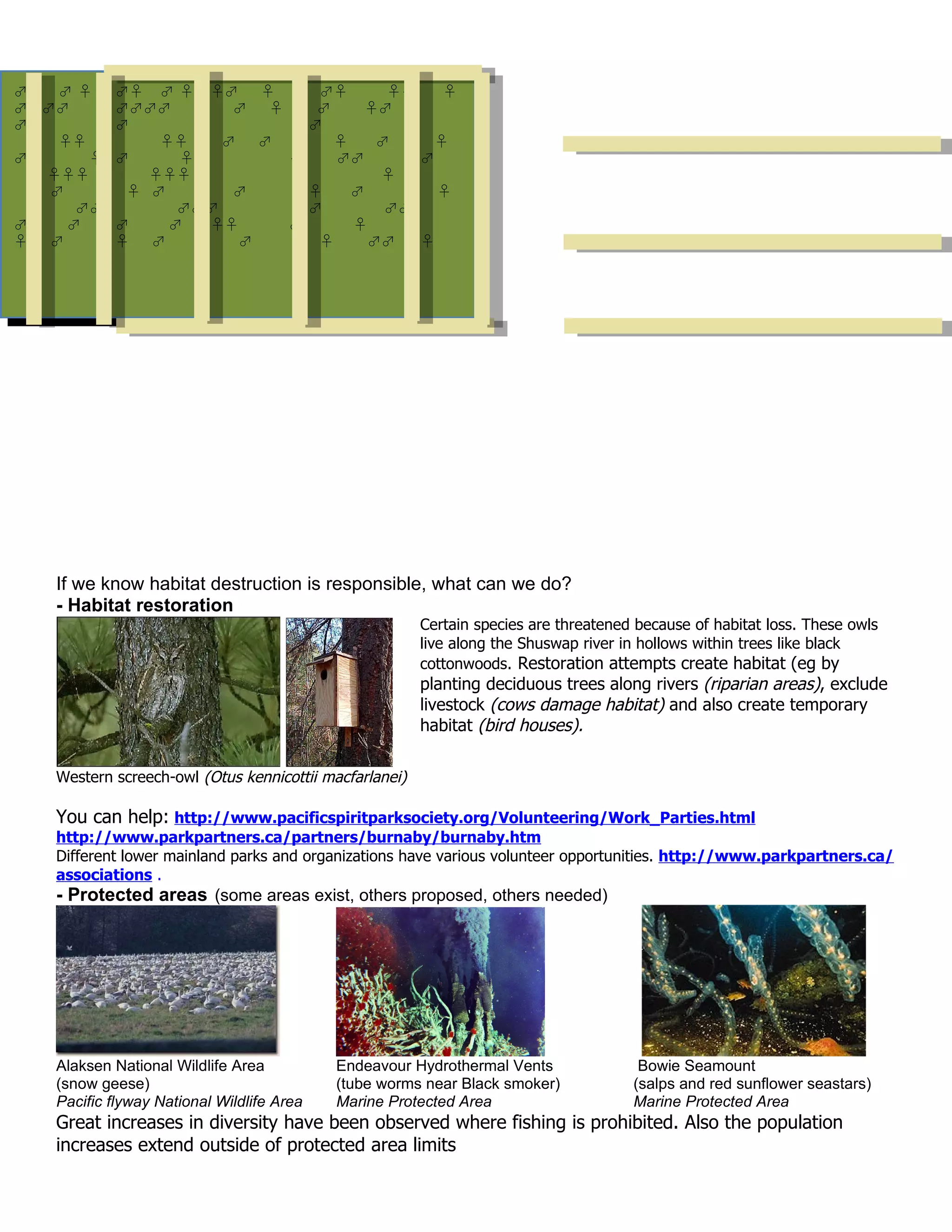 ♂♀ ♂ ♀ ♀♂♂♀ ♀ ♀ ♀♂
              ♂     ♂♀ ♀ ♀♀ ♂♀   ♀   ♀♀    ♀
♂♂♂♂     ♂♂♂♂
           ♂   ♀    ♂ ♂ ♀♂
                         ♀    ♂    ♀♂
♂        ♂         ♂         ♂
    ♀♀    ♂   ♂
              ♀♀     ♂♀ ♂♂      ♀   ♂     ♀
♂      ♀ ♂      ♀♀    ♂♂   ♀ ♂ ♂♂       ♂
   ♀♀♀       ♀♀♀          ♀         ♀
 ♀ ♂      ♀ ♂
           ♂       ♀ ♂♂      ♀ ♀♂         ♀
      ♂♂♂       ♂♂♂♂      ♂♂♂        ♂♂
♂    ♂  ♀♀
         ♂     ♂ ♂ ♀♀ ♀    ♂      ♀
♀  ♂     ♀ ♂♂       ♀ ♂ ♂♂ ♂♀ ♀    ♂♂ ♂♀




    If we know habitat destruction is responsible, what can we do?
    - Habitat restoration
                                                         Certain species are threatened because of habitat loss. These owls
                                                         live along the Shuswap river in hollows within trees like black
                                                         cottonwoods. Restoration attempts create habitat (eg by
                                                         planting deciduous trees along rivers (riparian areas), exclude
                                                         livestock (cows damage habitat) and also create temporary
                                                         habitat (bird houses).

    Western screech-owl (Otus kennicottii macfarlanei)

    You can help: http://www.pacificspiritparksociety.org/Volunteering/Work_Parties.html
    http://www.parkpartners.ca/partners/burnaby/burnaby.htm
    Different lower mainland parks and organizations have various volunteer opportunities. http://www.parkpartners.ca/
    associations .
    - Protected areas (some areas exist, others proposed, others needed)




    Alaksen National Wildlife Area          Endeavour Hydrothermal Vents                Bowie Seamount
    (snow geese)                            (tube worms near Black smoker)             (salps and red sunflower seastars)
    Pacific flyway National Wildlife Area   Marine Protected Area                      Marine Protected Area
    Great increases in diversity have been observed where fishing is prohibited. Also the population
    increases extend outside of protected area limits
 