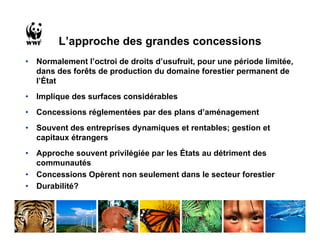 L’approche des grandes concessions
•   Normalement l’octroi de droits d’usufruit, pour une période limitée,
    dans des forêts de production du domaine forestier permanent de
    l’État
•   Implique des surfaces considérables
•   Concessions réglementées par des plans d’aménagement
•   Souvent des entreprises dynamiques et rentables; gestion et
    capitaux étrangers
•   Approche souvent privilégiée par les États au détriment des
    communautés
•   Concessions Opèrent non seulement dans le secteur forestier
•   Durabilité?
 