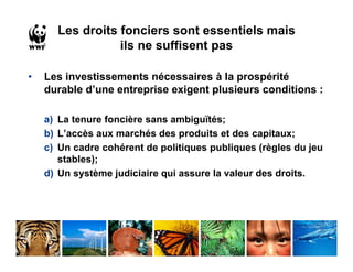 Les droits fonciers sont essentiels mais
                 ils ne suffisent pas

•   Les investissements nécessaires à la prospérité
    durable d’une entreprise exigent plusieurs conditions :

    a) La tenure foncière sans ambiguïtés;
    b) L’accès aux marchés des produits et des capitaux;
    c) Un cadre cohérent de politiques publiques (règles du jeu
       stables);
    d) Un système judiciaire qui assure la valeur des droits.
 