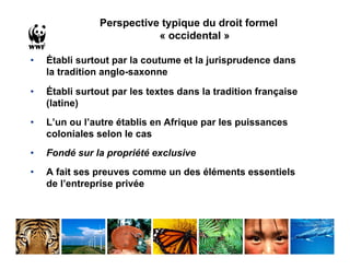 Perspective typique du droit formel
                           « occidental »

•   Établi surtout par la coutume et la jurisprudence dans
    la tradition anglo-saxonne

•   Établi surtout par les textes dans la tradition française
    (latine)
•   L’un ou l’autre établis en Afrique par les puissances
    coloniales selon le cas
•   Fondé sur la propriété exclusive
•   A fait ses preuves comme un des éléments essentiels
    de l’entreprise privée
 