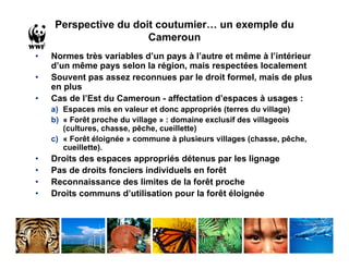 Perspective du doit coutumier… un exemple du
                      Cameroun
•   Normes très variables d’un pays à l’autre et même à l’intérieur
    d’un même pays selon la région, mais respectées localement
•   Souvent pas assez reconnues par le droit formel, mais de plus
    en plus
•   Cas de l’Est du Cameroun - affectation d’espaces à usages :
    a) Espaces mis en valeur et donc appropriés (terres du village)
    b) « Forêt proche du village » : domaine exclusif des villageois
       (cultures, chasse, pêche, cueillette)
    c) « Forêt éloignée » commune à plusieurs villages (chasse, pêche,
       cueillette).
•   Droits des espaces appropriés détenus par les lignage
•   Pas de droits fonciers individuels en forêt
•   Reconnaissance des limites de la forêt proche
•   Droits communs d’utilisation pour la forêt éloignée
 