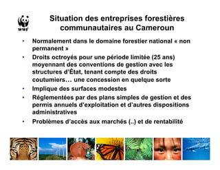 Situation des entreprises forestières
            communautaires au Cameroun
•   Normalement dans le domaine forestier national « non
    permanent »
•   Droits octroyés pour une période limitée (25 ans)
    moyennant des conventions de gestion avec les
    structures d’État, tenant compte des droits
    coutumiers… une concession en quelque sorte
•   Implique des surfaces modestes
•   Réglementées par des plans simples de gestion et des
    permis annuels d’exploitation et d’autres dispositions
    administratives
•   Problèmes d’accès aux marchés (..) et de rentabilité
 