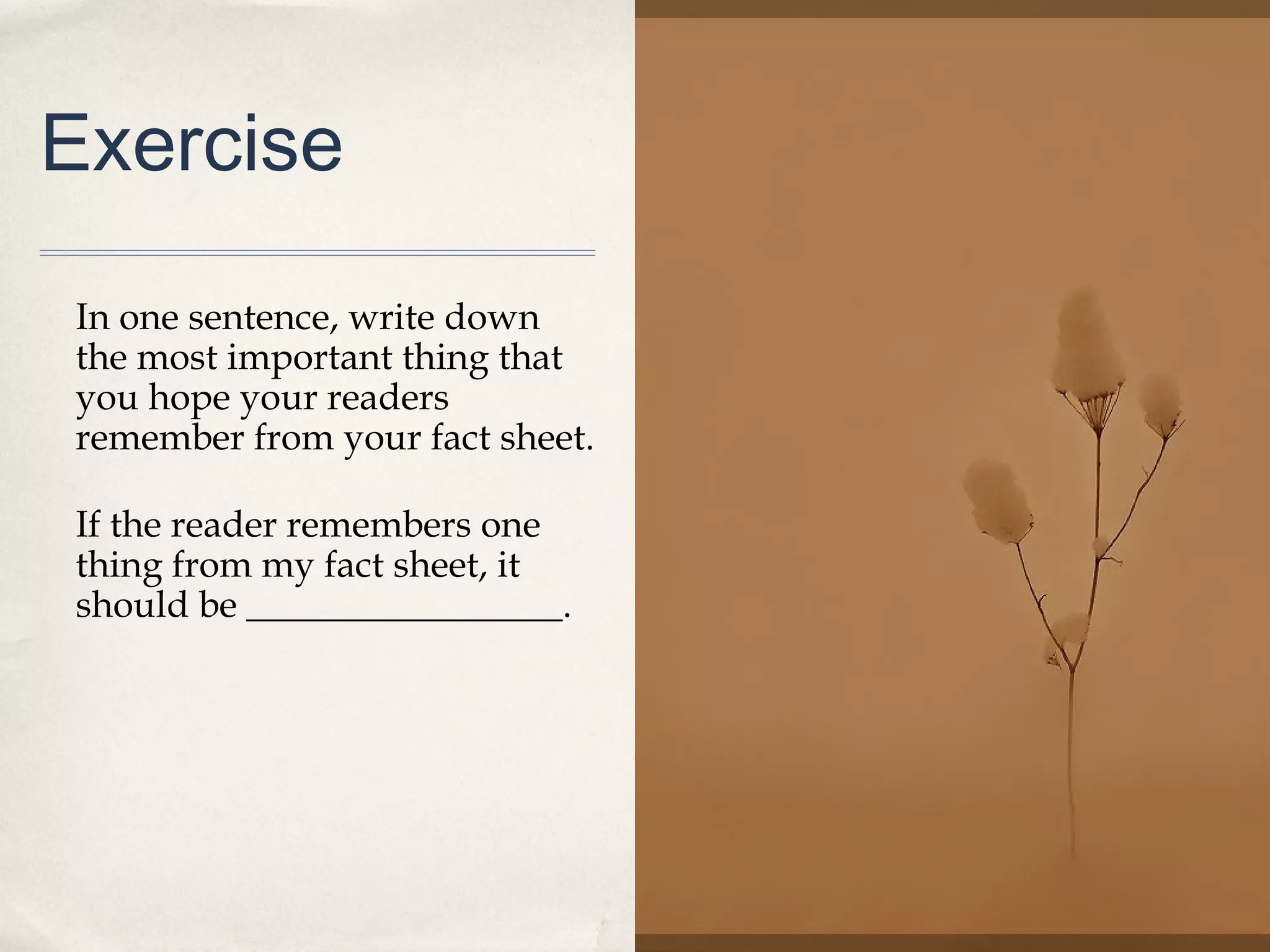 Exercise

In one sentence, write down
the most important thing that
you hope your readers
remember from your fact sheet.

If the reader remembers one
thing from my fact sheet, it
should be _________________.




                                 27
 