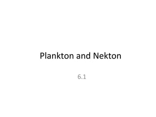 Plankton and Nekton 6.1 
