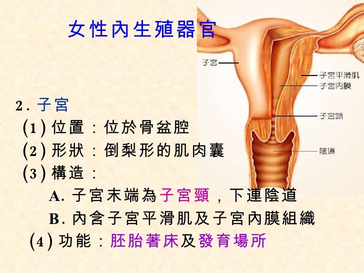 6 2人類的生殖 6 2人類的生殖