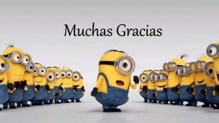 Muchas Gracias
 