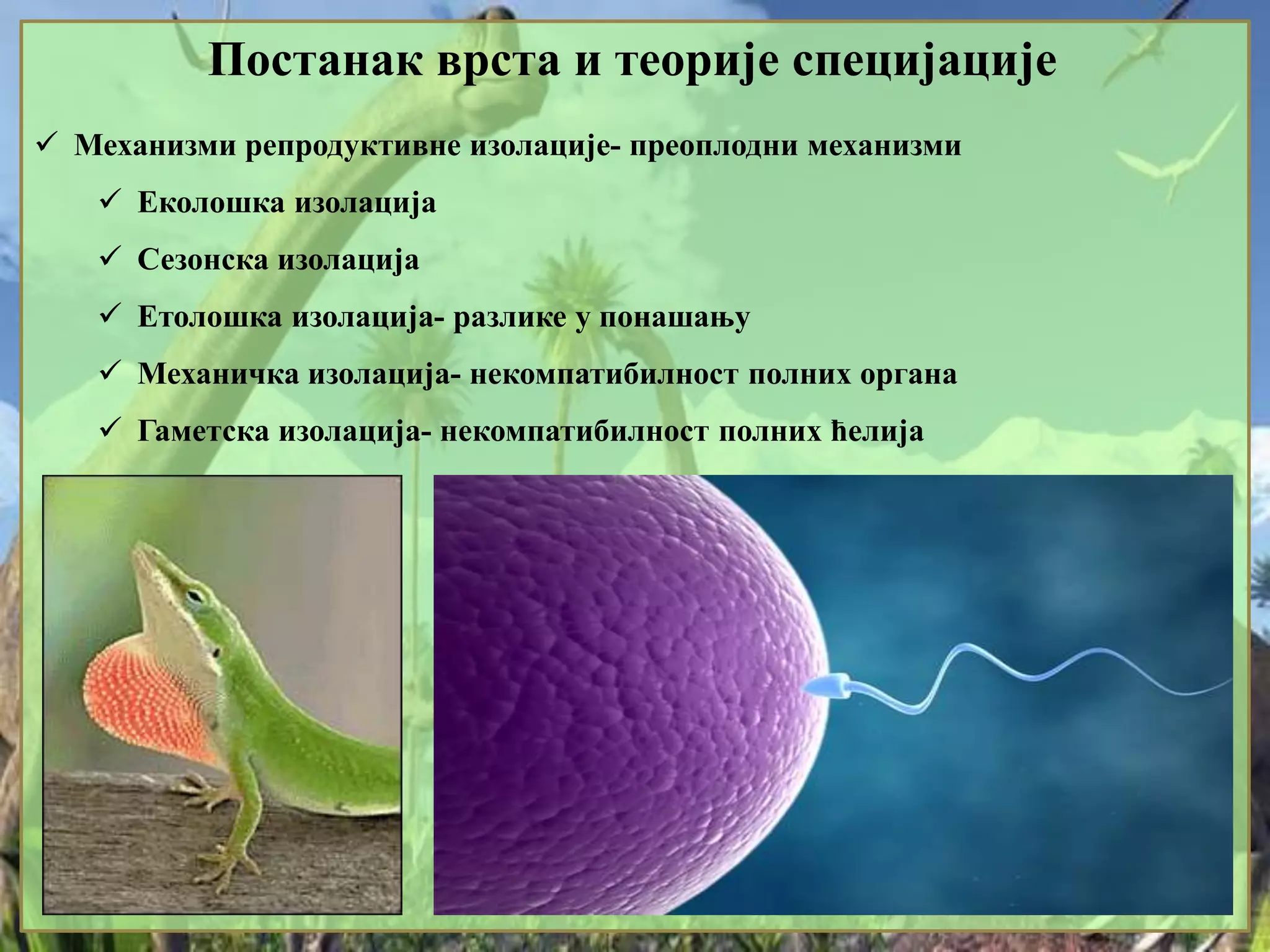 6. Postanak vrsta i teorije specijacije | PPT