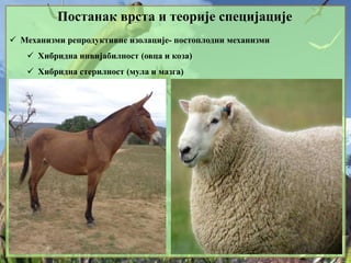 Постанак врста и теорије специјације
 Механизми репродуктивне изолације- постоплодни механизми
 Хибридна инвијабилност (овца и коза)
 Хибридна стерилност (мула и мазга)
 